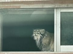 -青藏高原野生动物园