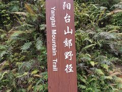 -阳台山森林公园