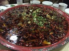 -东吴霸王兔(松青路店)