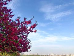 -楼外楼(西湖景区孤山路店)