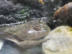 -酷嗒动物文化乐园(cutezoo西溪乐天城店)