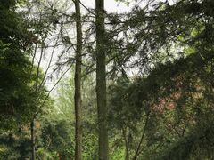 -青城道汤池