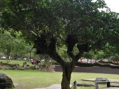 -太鲁阁公园