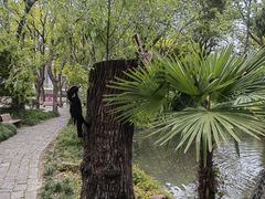 -上海醉白池公园