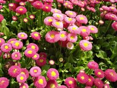 -御花园·粤菜·海鲜火锅(中山公园店)