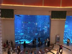 -亚特兰蒂斯水世界冒险乐园