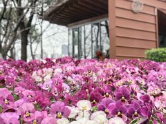 -浦江二号·独栋江景餐厅(滨江大道店)