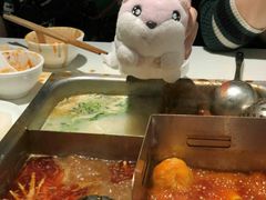 -海底捞火锅(公益西桥店)