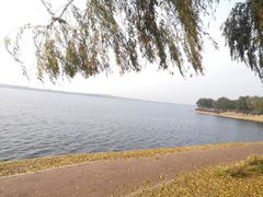 -丁香湖公园