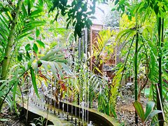 -呀路古热带植物园