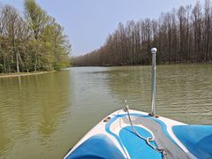 -上海海湾国家森林公园