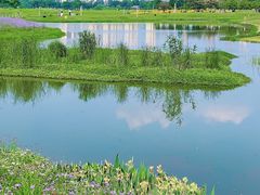 -洋湖国家湿地公园