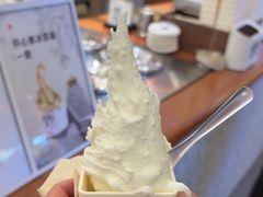 -野人先生Gelato(上海长宁龙之梦店)