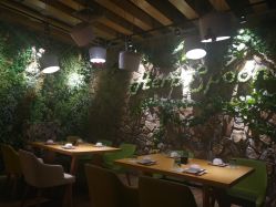 景观位-香草美匙