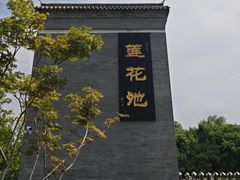 -莲花池公园