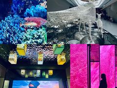 -中国湿地博物馆