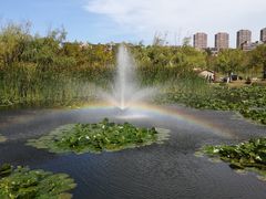 -前关湿地公园