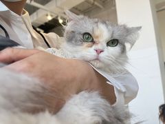 -怪兽屋·羊驼·猫咖·狗咖(俊华广场店)