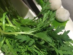 茼蒿-海底捞火锅(漫乐城夜宵主题店)