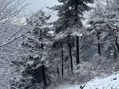 -四明山国家森林公园