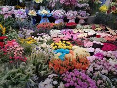 -双季花艺园艺市场(浦东店)