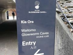 -怀托摩萤火虫洞