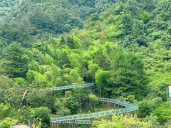 -龙井峡漂流