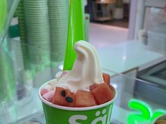 -Salud撒露欧洲冻酸奶(五道口购物中心店)
