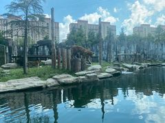 -上海野生动物园