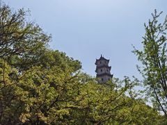 -江心屿景区