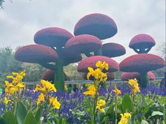 -沈阳植物园