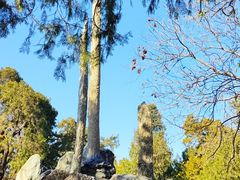-北京市劳动人民文化宫(太庙)