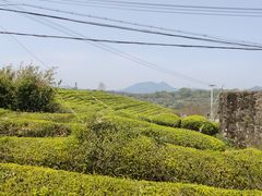 -许家山