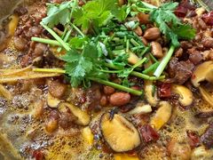 -食神又名厕所兔