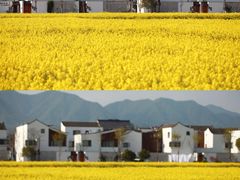 -东梓关景区村庄
