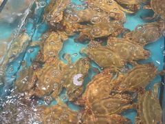 -拉完海鲜大排档(温岭店)