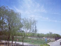 -西青郊野公园