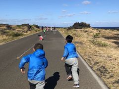 -夏威夷火山国家公园