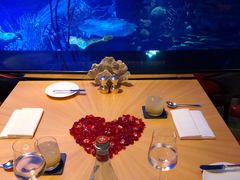 -迪拜帆船酒店海底餐厅