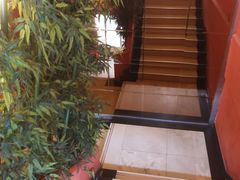 -野妹火锅(龙岗店)