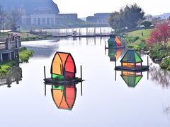 -荷兰花海