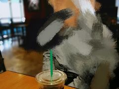 -星巴克(朵云轩店)