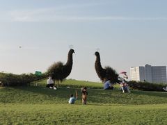 -光明小镇欢乐田园