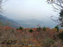 -国家植物园南园