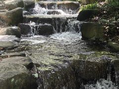 -中国茶叶博物馆(双峰馆区)