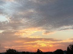 -酒仙湖景区