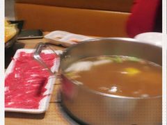 -掂档潮汕牛肉火锅(沈阳万象城店)