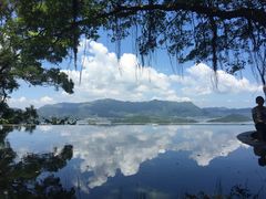 -大埔公路-马料水段香港中文大学(公交站)