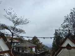 -金鱼妈妈 山野·食趣(荫山街店)