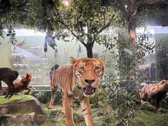 -国家自然博物馆